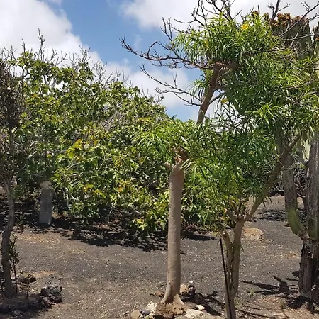 Relax, Sea View, Oasis Vasiliko, La Asomada Σπίτι διακοπών Tías