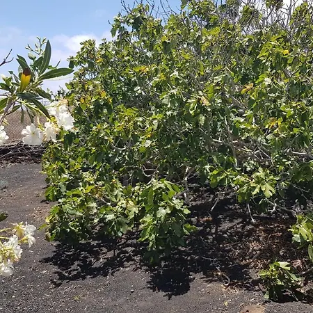 Relax, Sea View, Oasis Vasiliko, La Asomada Σπίτι διακοπών